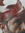 member photo member photo