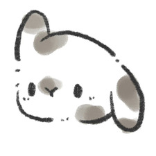 paula ☁️ ·̩͙✧