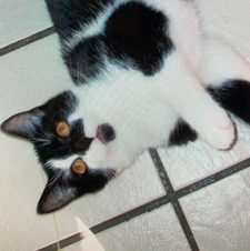 percy