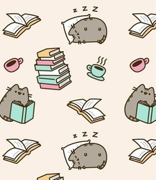 Reader