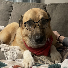 Allison Schmideskamp