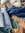 member photo member photo