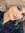 Kimberly Simon