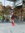 Disha Sarkar (dishareads_) | 1 comments
