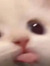 jp
