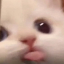 jp