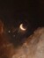 Moon Sasa