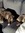 Juleslovesbooks9