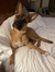 Lucy Ba...