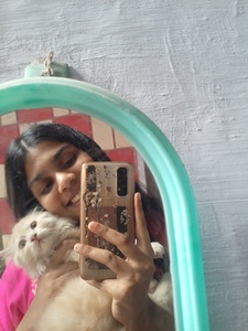 Shirley