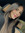 Emily W...