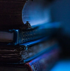 Виктория Петрова