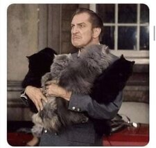 Carlos Arranz Fernández