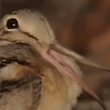 Jimmis