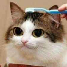badhairday