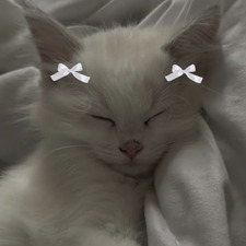 Indei ‧₊˚ ౨ৎ