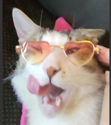 Beyzer