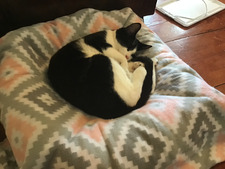 Clare&#x1f49c; Stine