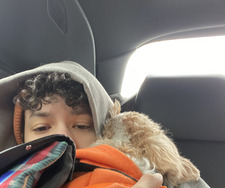 Alex (Iseultslibrary)