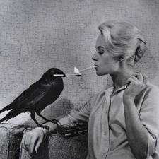 Meghan&#x1f426;‍⬛