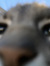 Tom