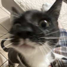 Fray &#x1f9da;&#x1f3fc;‍♀️