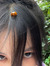 champagnezuko