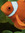 Patchedbixy | 3 comments