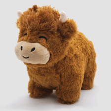 Under the Reading Light