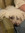 ⋆ ˚｡⋆୨୧...