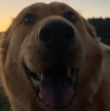 Emily