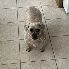 Sam