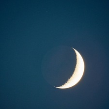 محمد الصوالحي