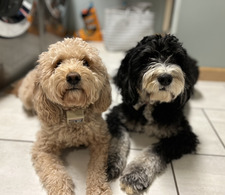 Reader Brenda Colton