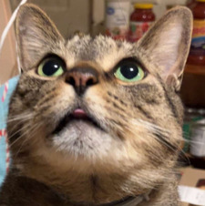 Mia