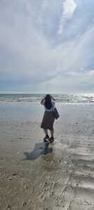 Charlotte N