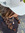 olivia | 2 comments