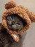 Purr Meow