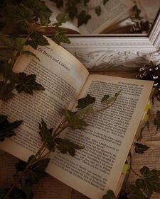 ☾⋆⁺yuli₊˚⊹♡ R