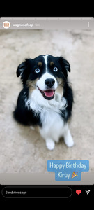 Candice Doesn't Read Enough 