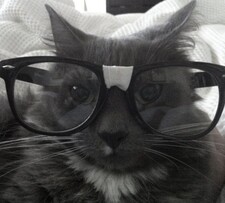 Meow