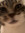 Chloe R...