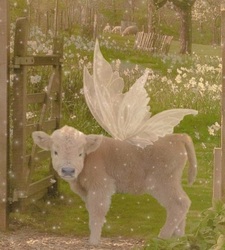 Effimia♡