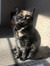 Cherie ...