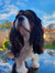 Daisy W...