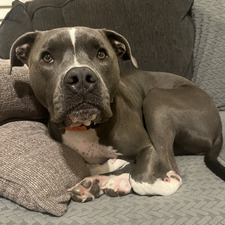 Elliott