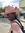 Anaiya Hurd | 2 comments