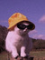 Margot