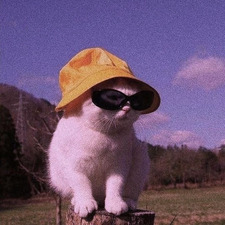 Margot