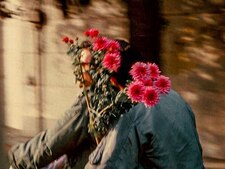 ياصاحِبّ الزمان